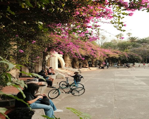 calm walk through a Mexican city park
